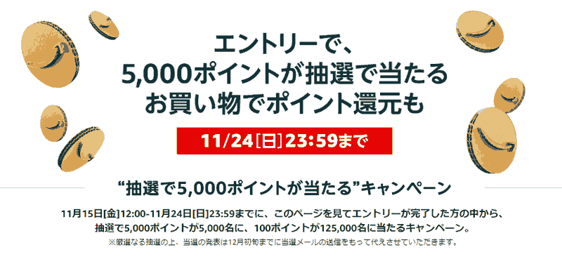 ブラックフライデー 5,000ポイントプレゼントキャンペーン